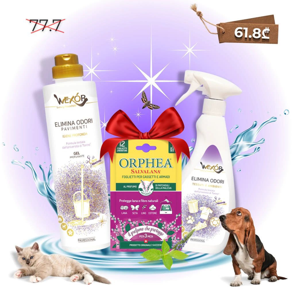 ნაკრები 🎁 საჩუქრით